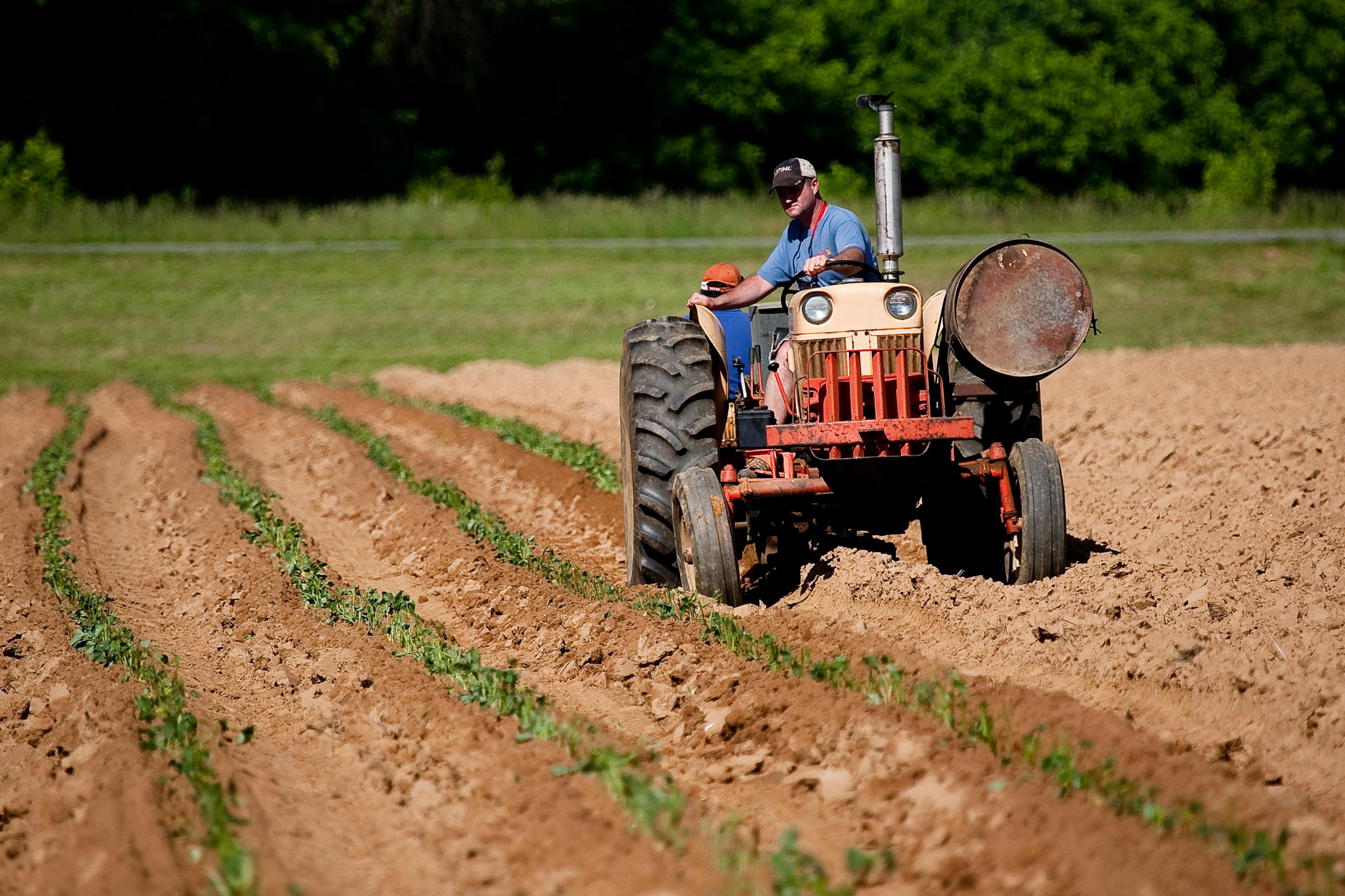 Agricultural landscape